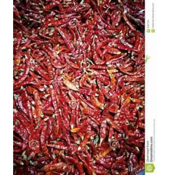 Fresh Dry Red Chilli
